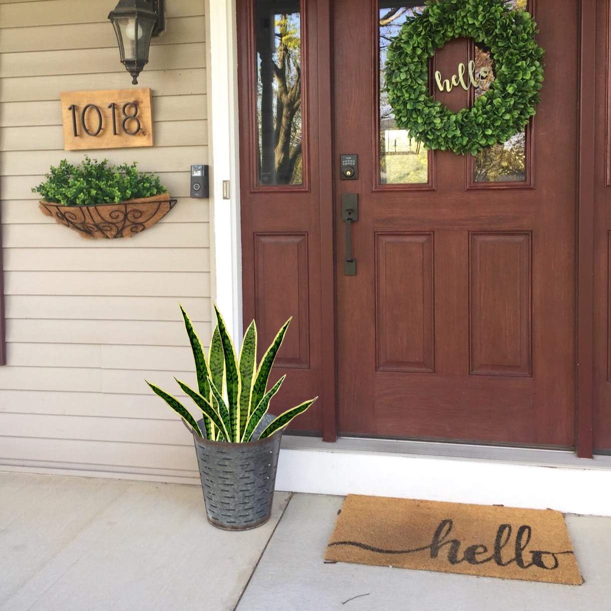 نباتات Sansevieria اصطناعية ثع - مراجعة Interior Design Office وسعره